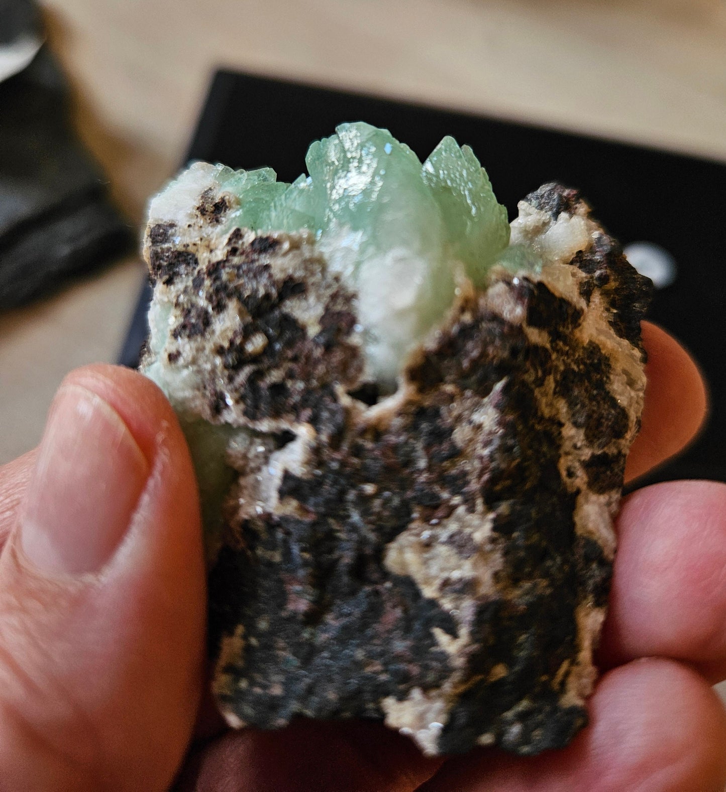 Hellgrüner Apophyllit Kristall Cluster auf Matrix Stufe 50 x 55 x 32 mm