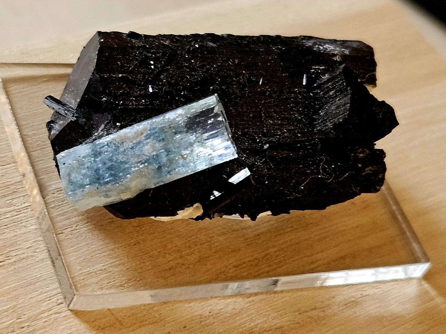 Aquamarin auf Schörl, schwarzem Turmalin, Stufe, Erongo Namibia