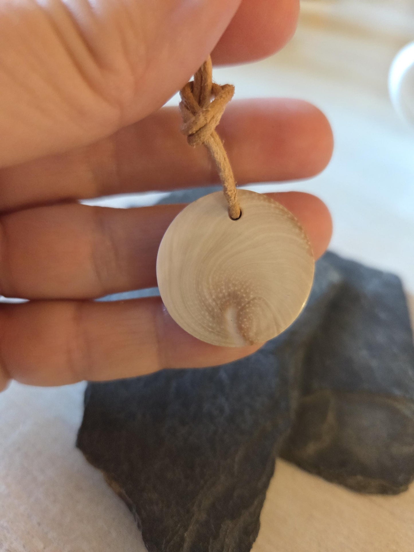 Shivas Auge klein Operculum, 26 x 26 x 5 mm, kleiner Anhänger, gebohrt, an verstellbarem Lederband