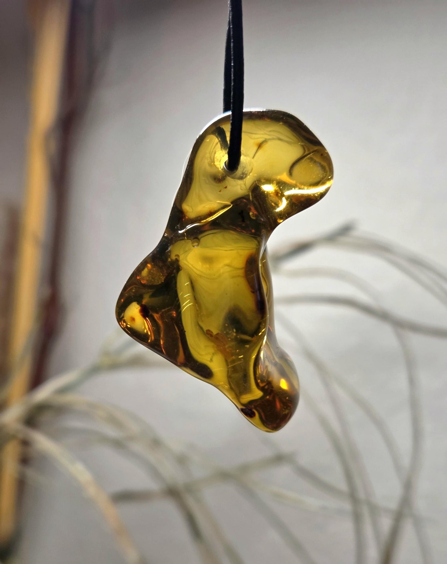 Großer feiner baltischer Bernstein Anhänger, mit Einschlüssen von Blüten Bernstein Amulett, 52 x 24 x 23 mm, an verstellbarem Lederband