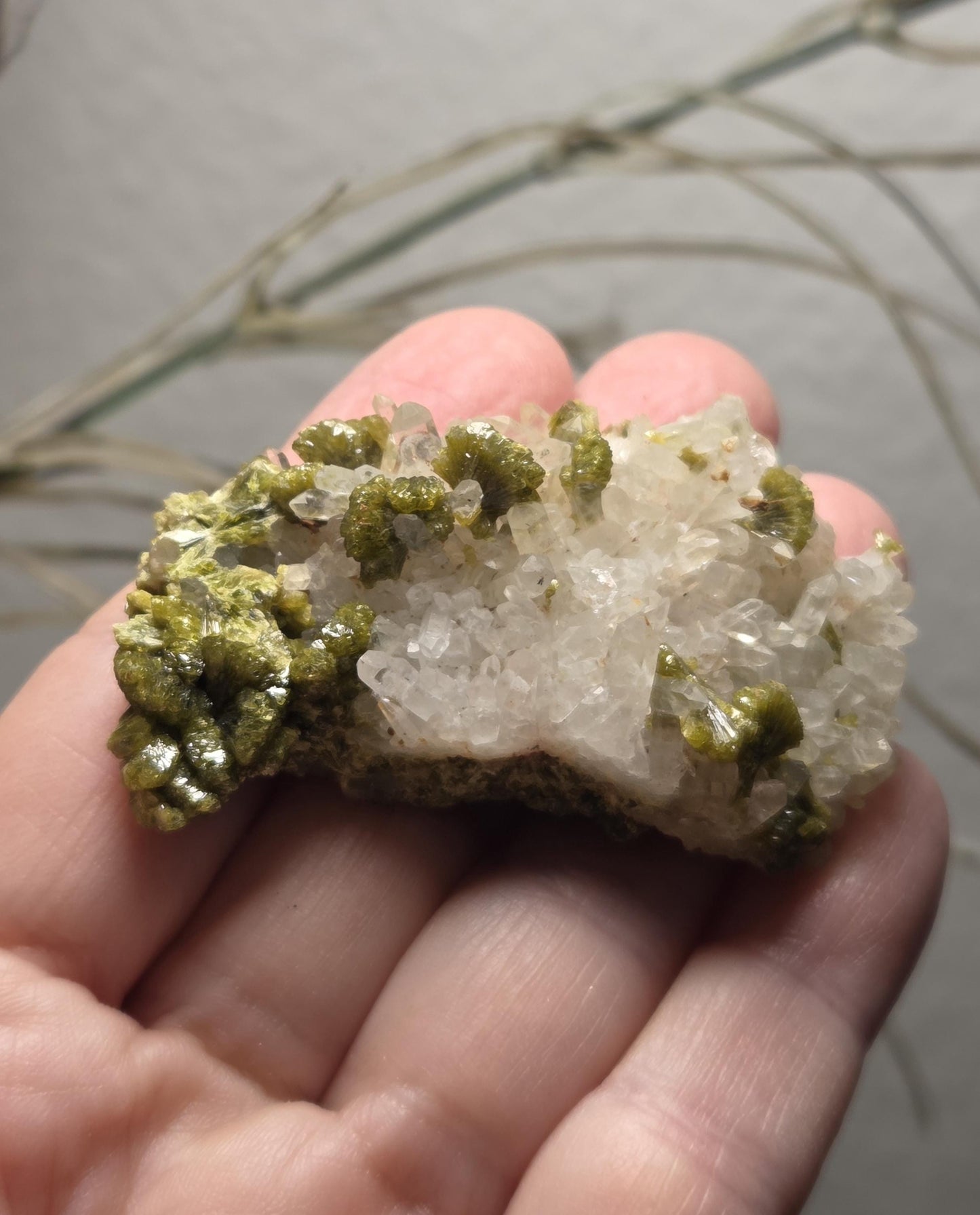 Traumhafte Epidot mit Bergkristall Stufe , 17 x 60 x 20 mm, 34,06 g, 170,30 ct.