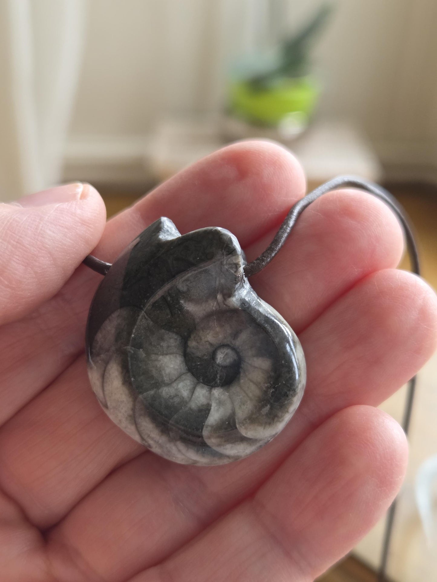 Wunderschöner Ammonit Fossil , Goniatit, Anhänger, 33 x 30 x 15 mm, gebohrt, an verstellbarem Lederband