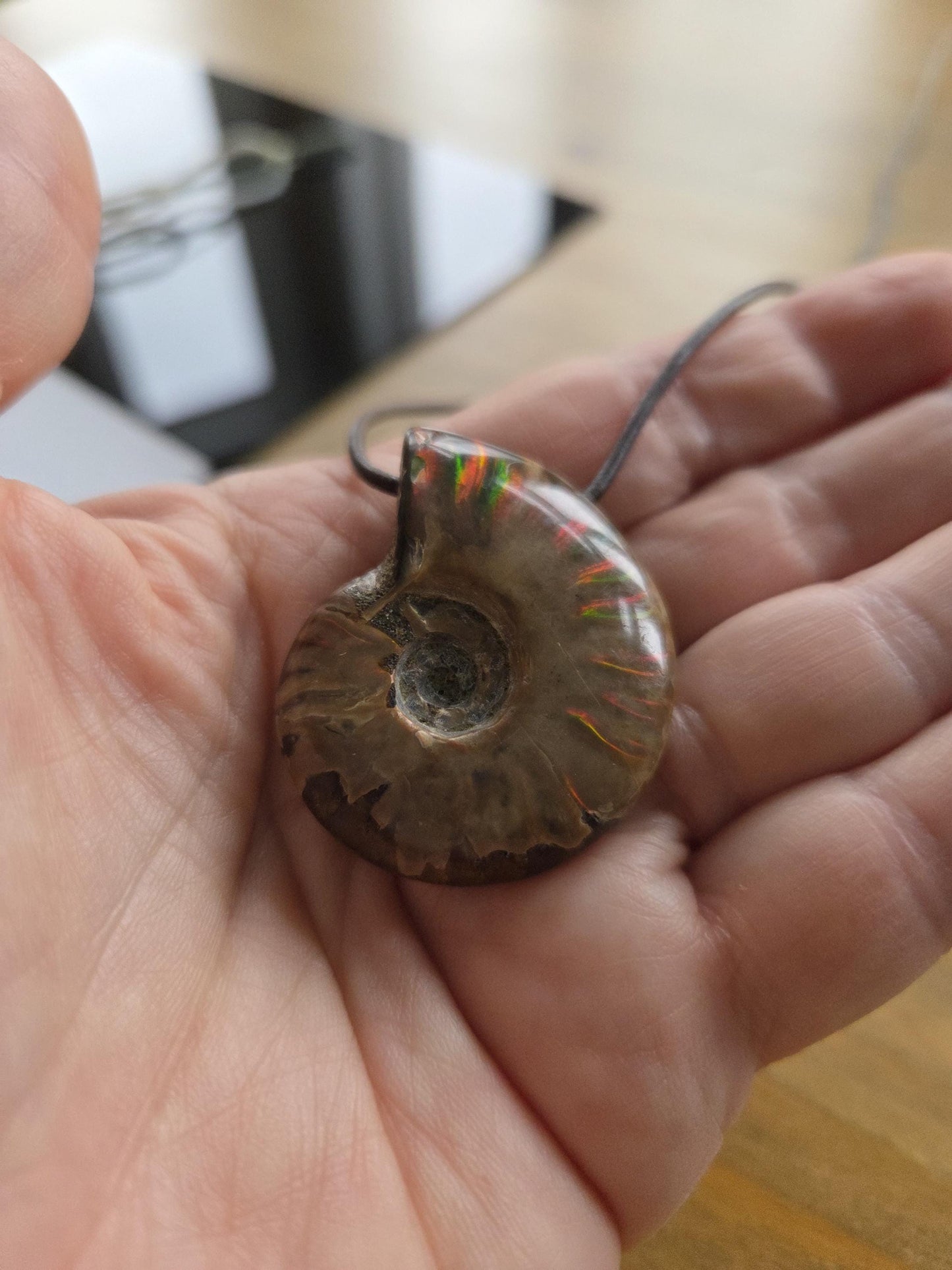 Ammolith Ammonit opalisiert Anhänger, 39 x 33 x 12 mm, gebohrt, an verstellbarem Lederband