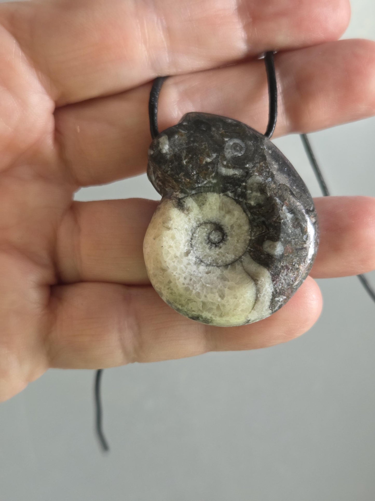 Wunderschöner Ammonit Fossil , Goniatit, Anhänger, 40 x 33 x 12 mm, gebohrt, an verstellbarem Lederband