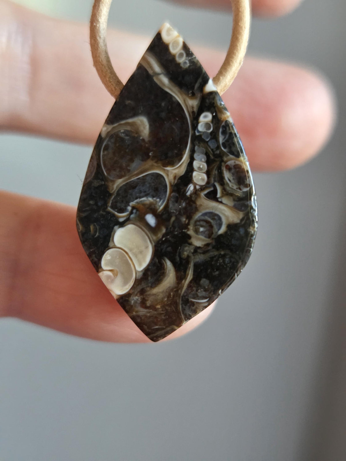 Turitella Achat Jaspis, Schnecken Muschel Fossil Jaspis in Chalcedon, Anhänger, 31 x 17 x 9 mm, gebohrt, an Lederband, FO Wyoming