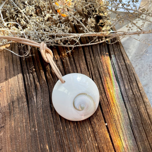 Shivas Auge klein Operculum, 26 x 26 x 5 mm, kleiner Anhänger, gebohrt, an verstellbarem Lederband