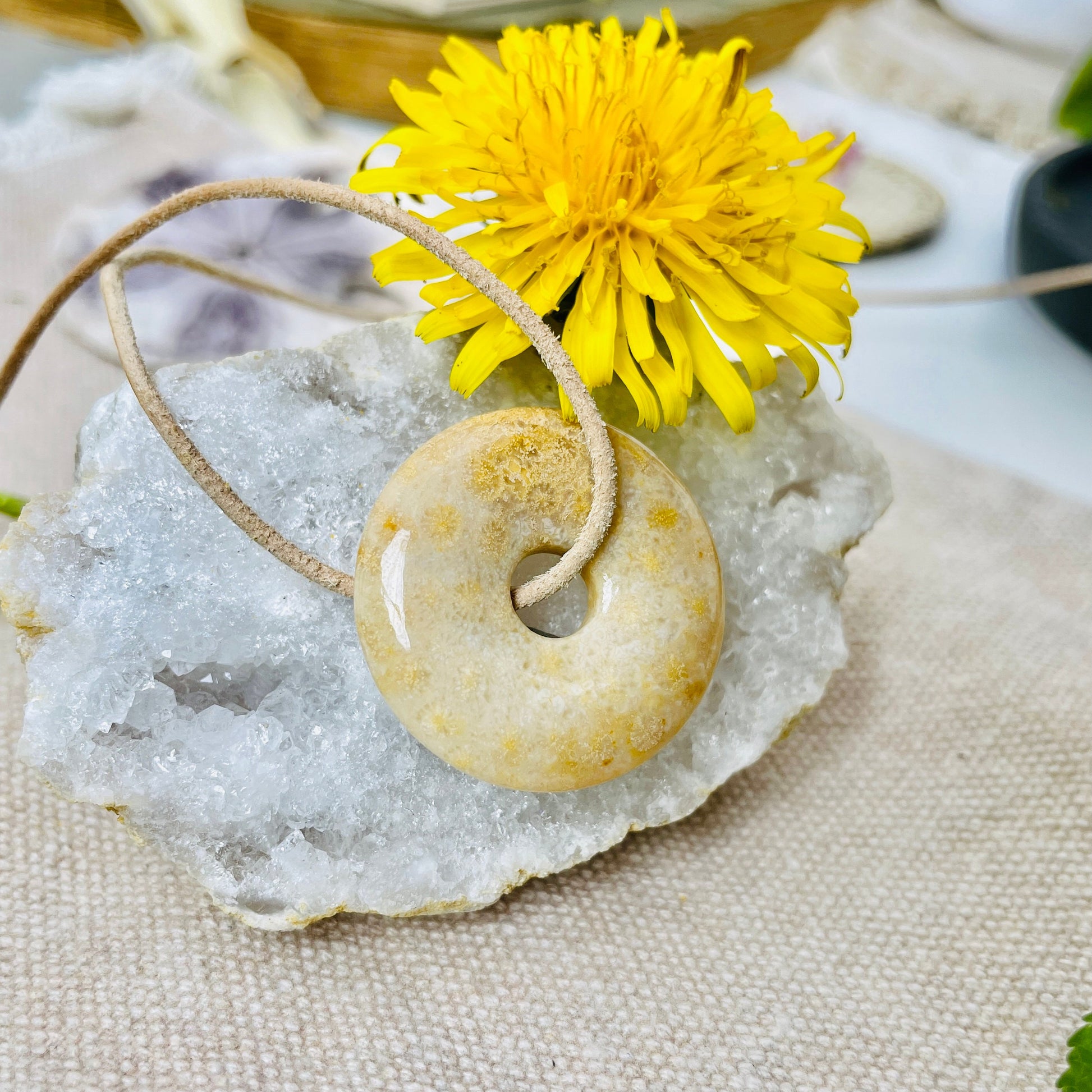 Versteinerte Koralle Donut, 30 x 30 x 6 mm, am Lederband