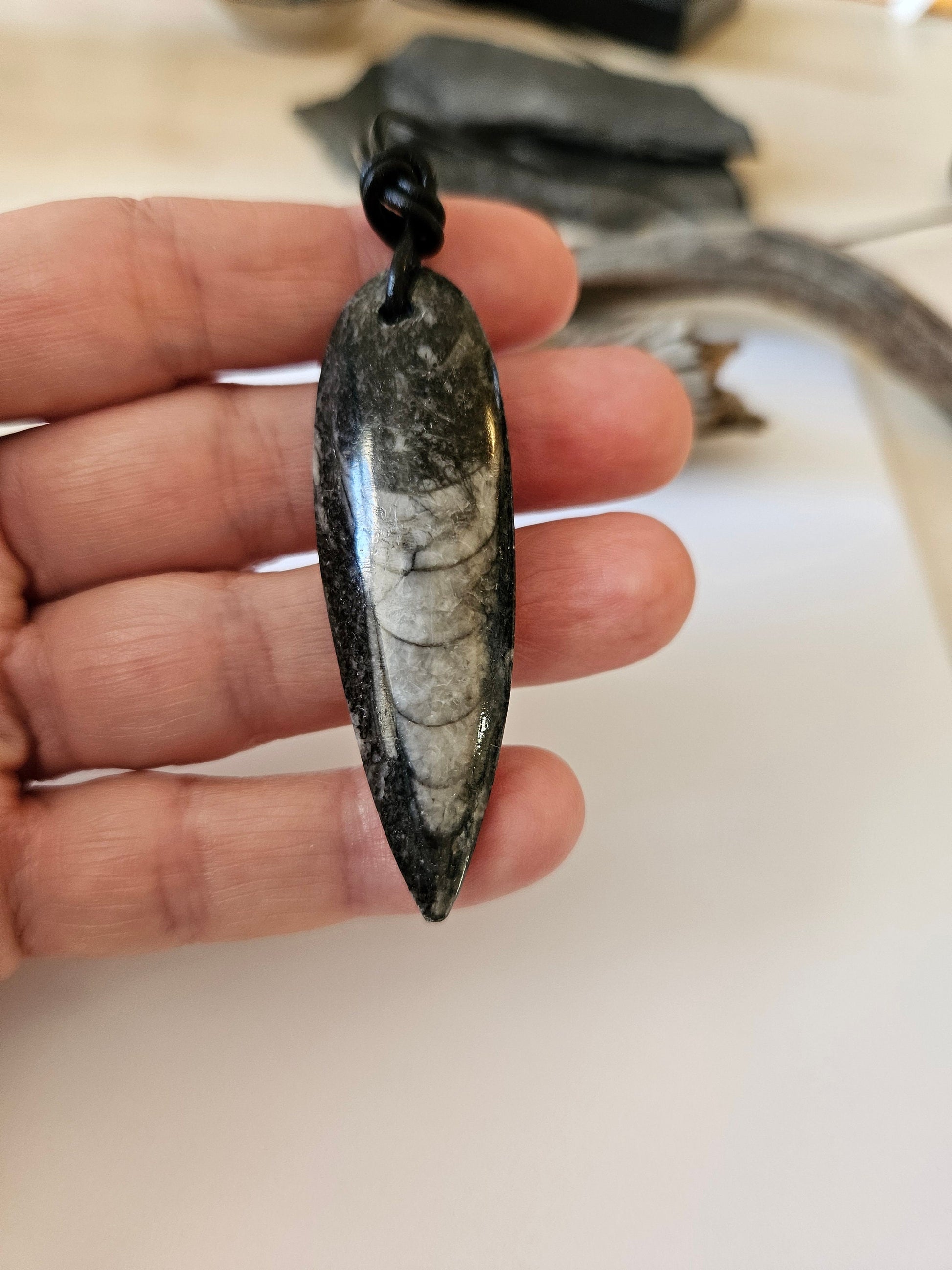 Orthoceras, versteinerter Tintenfisch, Fossil, Surfer Schmuck, 60 x 20 x 8 mm, gebohrt, an verstellbarem Lederband
