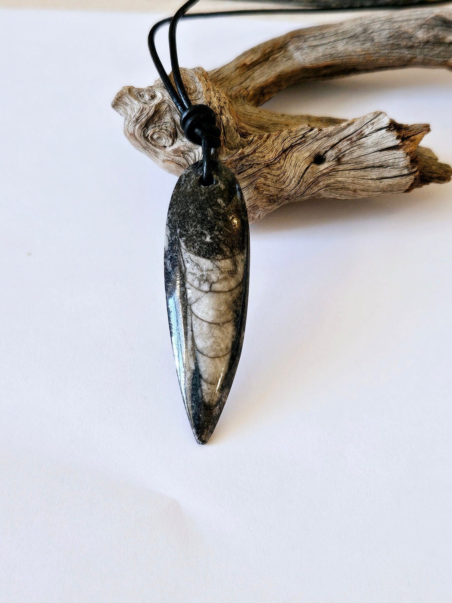 wunderschöner Sepia Stein, versteinerter Tintenfisch, sieht aus wie ein maori tattoo,  insgesamt sieht der Stein aus wie ein schwarzer Fisch mit hellen weiß-grau kastenförmigen , schuppigen Unterteilungen.Er hängt an einem schwarzen Lederband