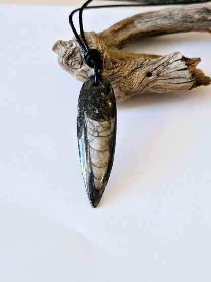 wunderschöner Sepia Stein, versteinerter Tintenfisch, sieht aus wie ein maori tattoo,  insgesamt sieht der Stein aus wie ein schwarzer Fisch mit hellen weiß-grau kastenförmigen , schuppigen Unterteilungen.Er hängt an einem schwarzen Lederband