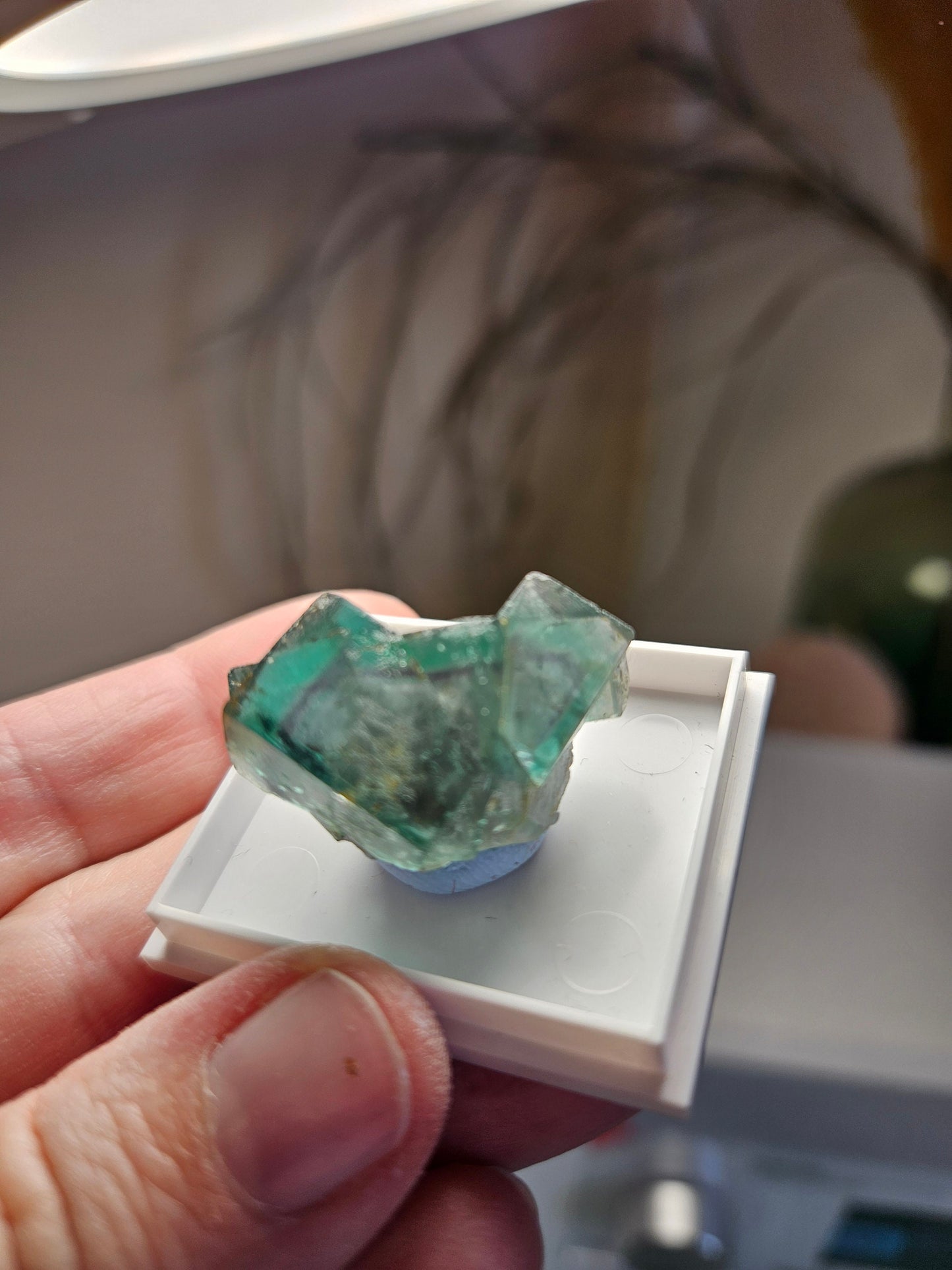 Traumhafter Smaragd Fluorit, Fluorit Stufe Emerald Fluorite Eastgate Weredale Durham England