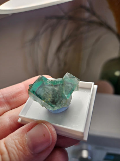 Traumhafter Smaragd Fluorit, Fluorit Stufe Emerald Fluorite Eastgate Weredale Durham England