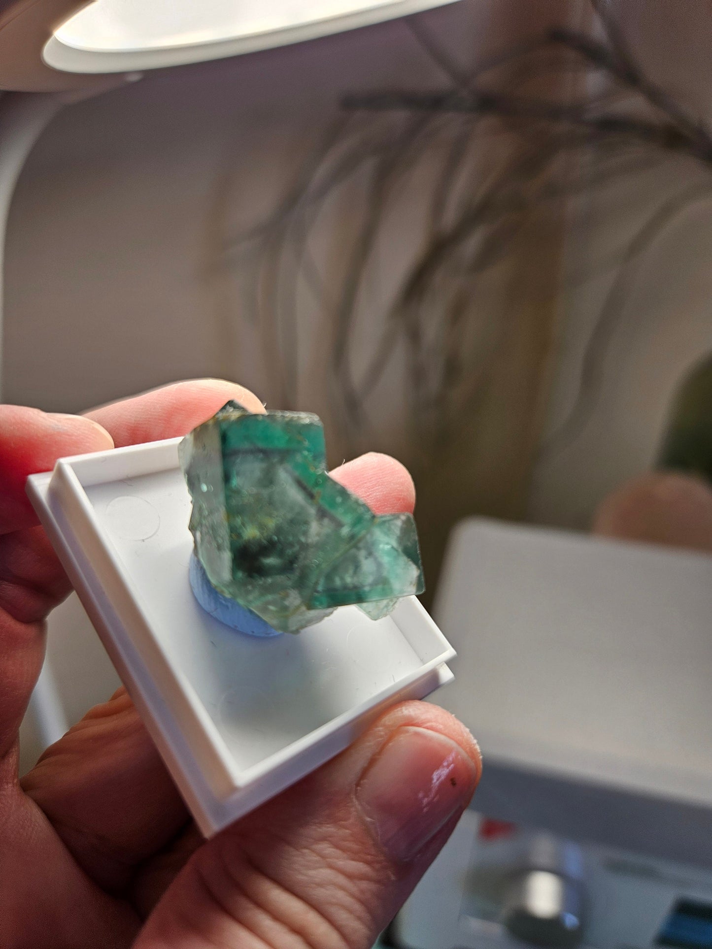 Traumhafter Smaragd Fluorit, Fluorit Stufe Emerald Fluorite Eastgate Weredale Durham England