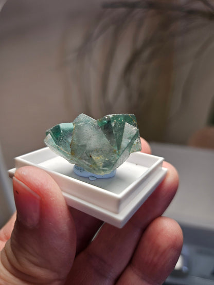 Traumhafter Smaragd Fluorit, Fluorit Stufe Emerald Fluorite Eastgate Weredale Durham England