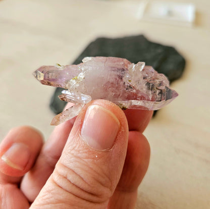 Amethyst Zepter Amethyst Guerrero, Mexico Doppelender mit vielen kleinen Kristallen