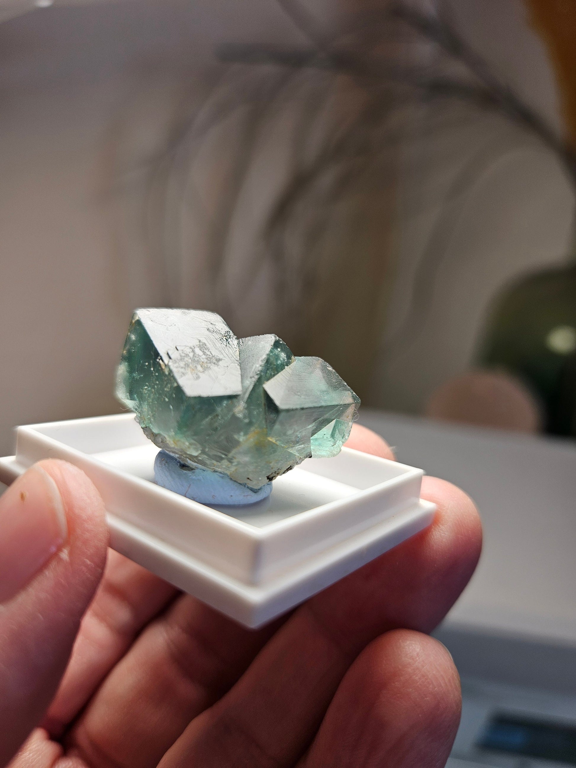 Traumhafter Smaragd Fluorit, Fluorit Stufe Emerald Fluorite Eastgate Weredale Durham England