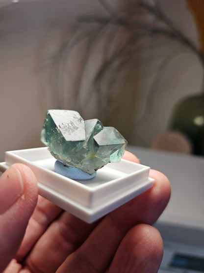 Traumhafter Smaragd Fluorit, Fluorit Stufe Emerald Fluorite Eastgate Weredale Durham England