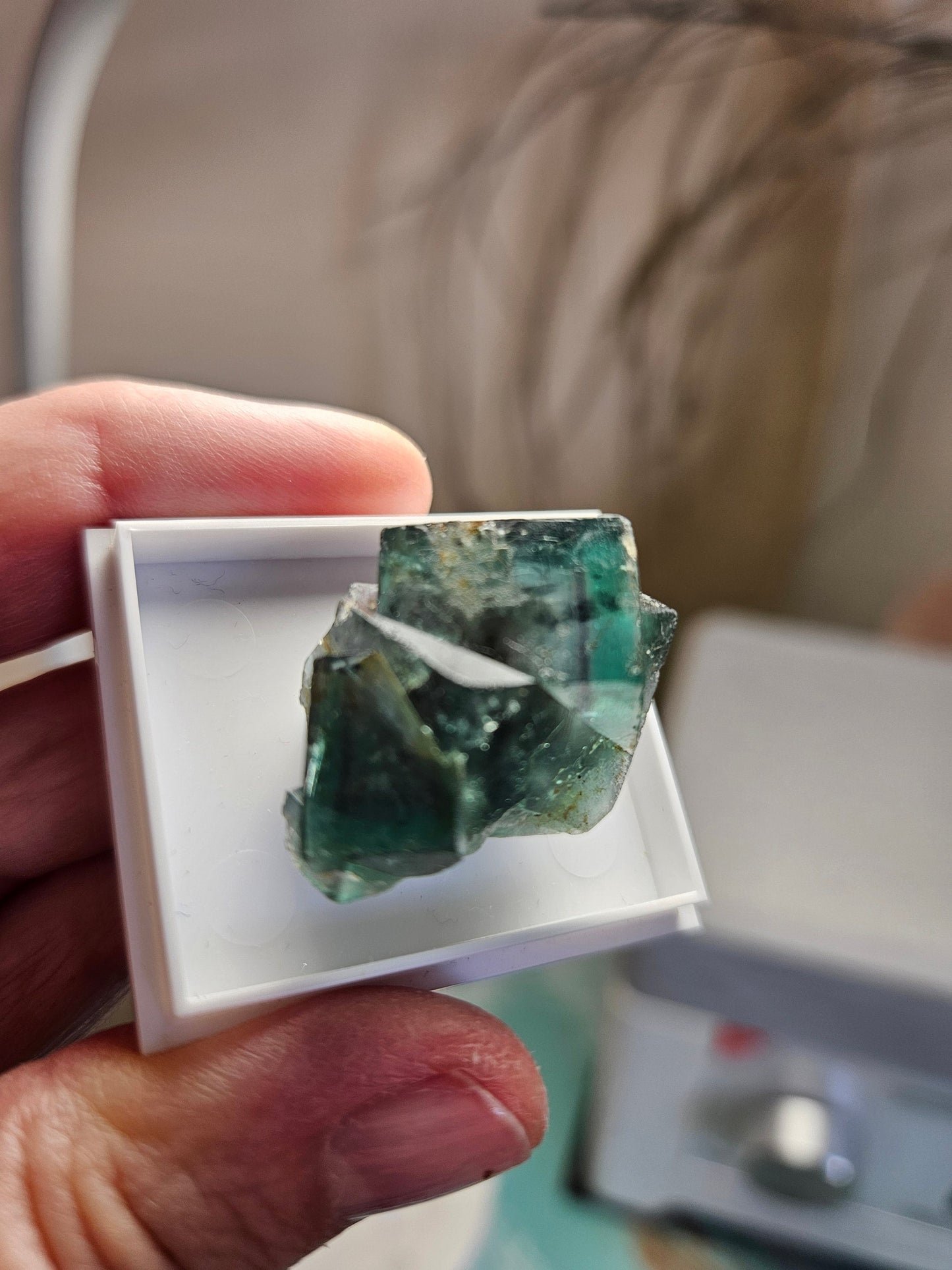 Traumhafter Smaragd Fluorit, Fluorit Stufe Emerald Fluorite Eastgate Weredale Durham England