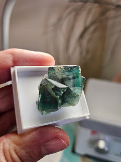 Traumhafter Smaragd Fluorit, Fluorit Stufe Emerald Fluorite Eastgate Weredale Durham England