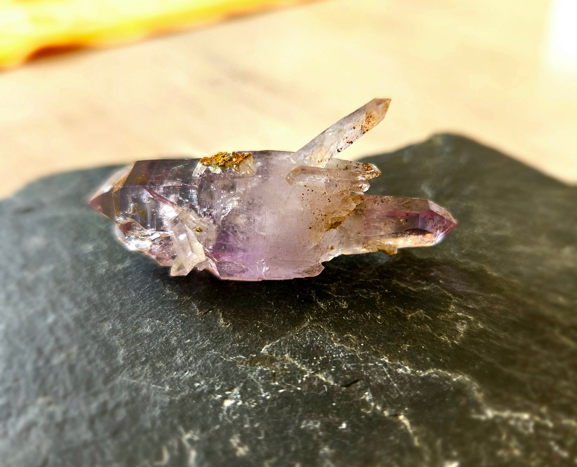 Amethyst Zepter Amethyst Guerrero, Mexico Doppelender mit vielen kleinen Kristallen