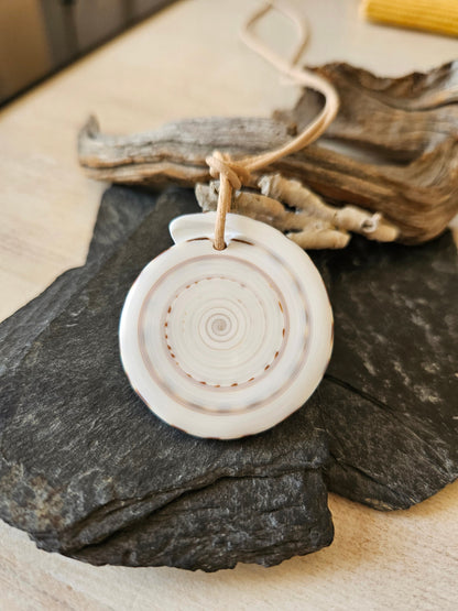 Conus Muschel Schnecke groß Conus figulinus Linnaeus Feigenkegel Anhänger 45 x 40 x 5 mm, gebohrt, an verstellbarem Lederband