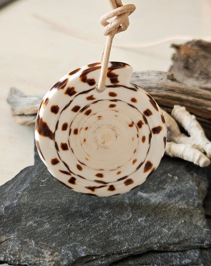 Conus Muschel Schnecke groß Conus figulinus Linnaeus Feigenkegel Anhänger 45 x 40 x 5 mm, gebohrt, an verstellbarem Lederband