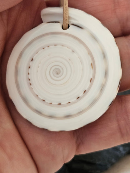 Conus Muschel Schnecke groß Conus figulinus Linnaeus Feigenkegel Anhänger 45 x 40 x 5 mm, gebohrt, an verstellbarem Lederband