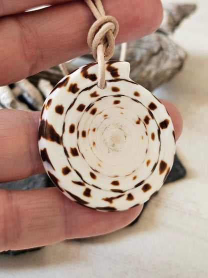 Conus Muschel Schnecke groß Conus figulinus Linnaeus Feigenkegel Anhänger 45 x 40 x 5 mm, gebohrt, an verstellbarem Lederband