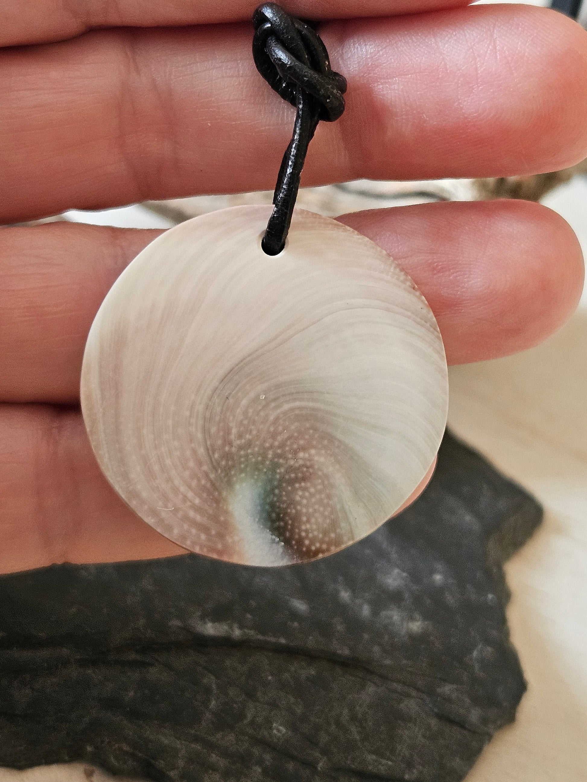 Shivas Auge Operculum großer Anhänger 35 x 8 mm , gebohrt an verstellbarem Lederband