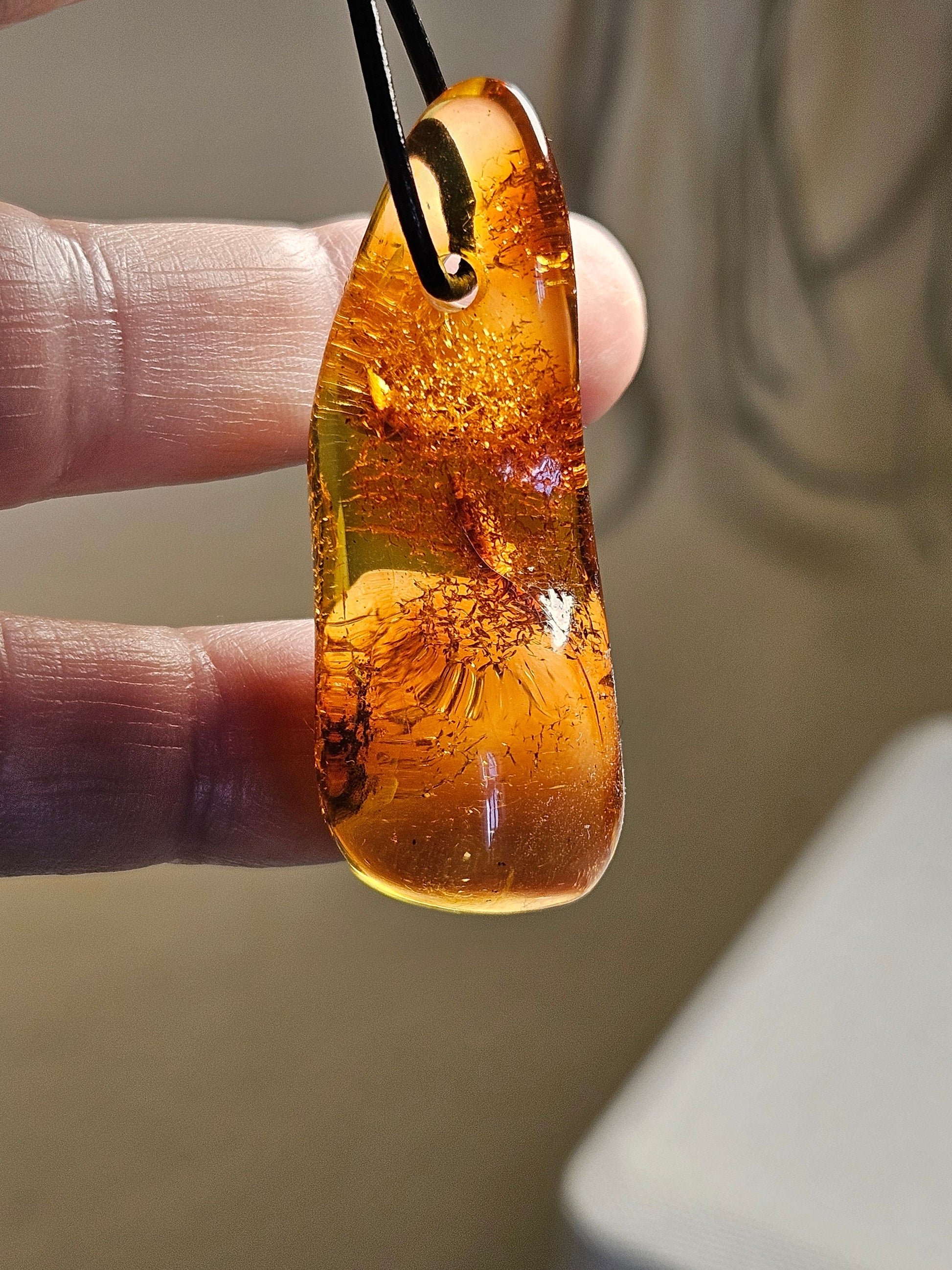 Feiner Bernstein Anhänger, mit Einschlüssen von Blüten Blätterskelett Bernstein Amulett, 48 x 18 x 12 mm , an verstellbarem Lederband