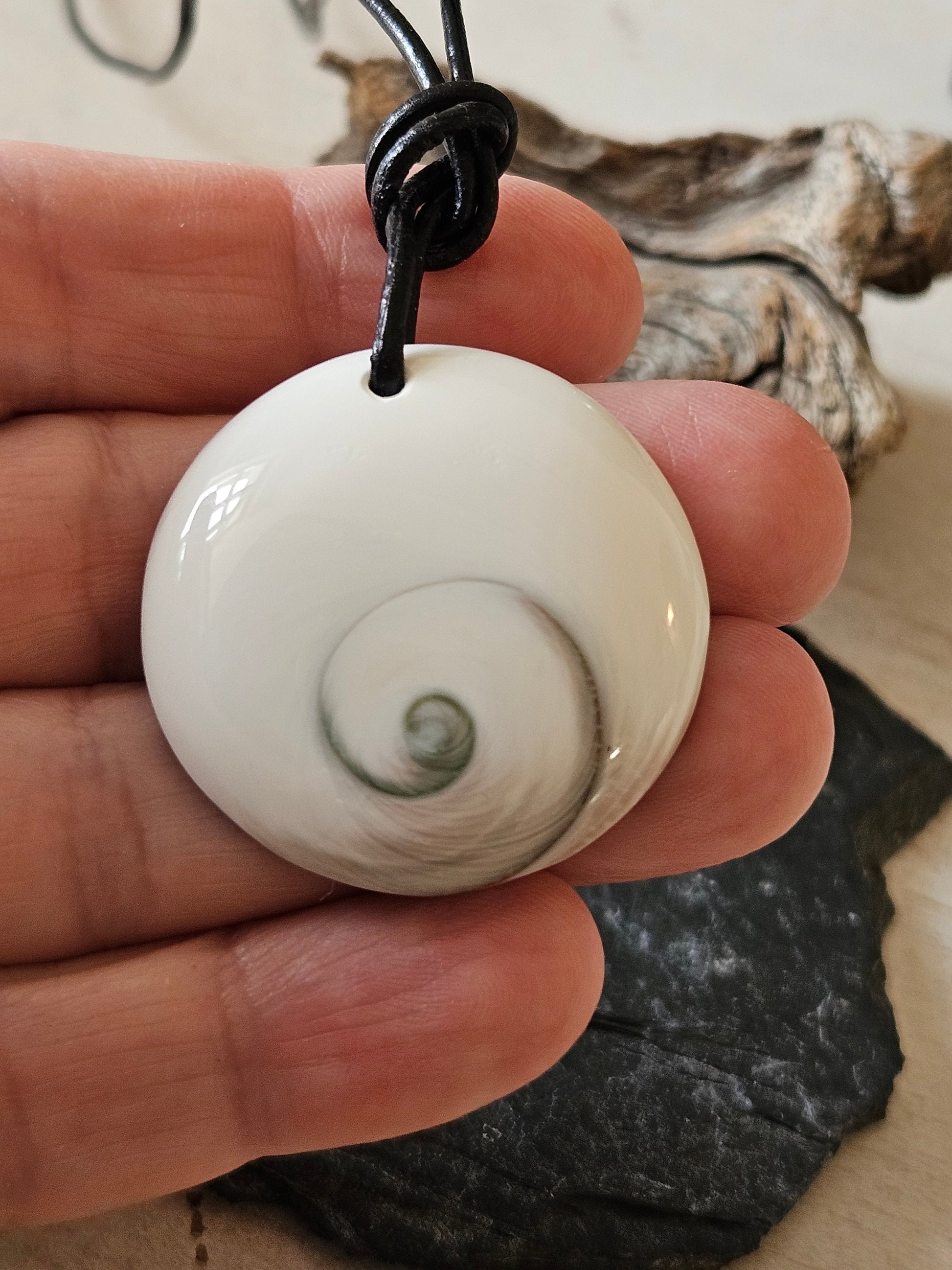 Shivas Auge Operculum großer Anhänger 35 x 8 mm , gebohrt an verstellbarem Lederband