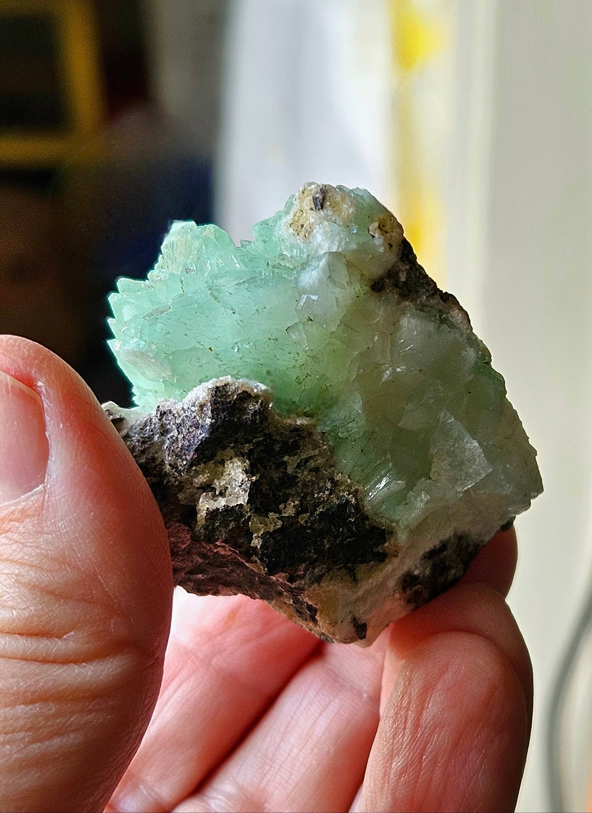 Hellgrüner Apophyllit Kristall Cluster auf Matrix Stufe 50 x 55 x 32 mm