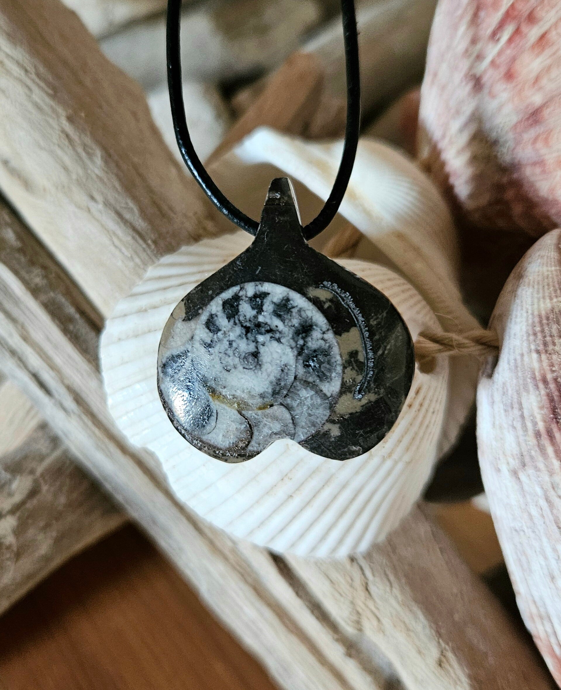 Ammonit Fossil versteinert, 37 x 30 x 10 mm, gebohrt, an verstellbarem Lederband, 360 Millionen Jahre alt