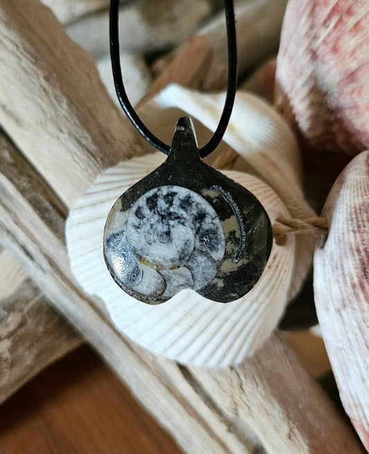 Ammonit Fossil versteinert, 37 x 30 x 10 mm, gebohrt, an verstellbarem Lederband, 360 Millionen Jahre alt