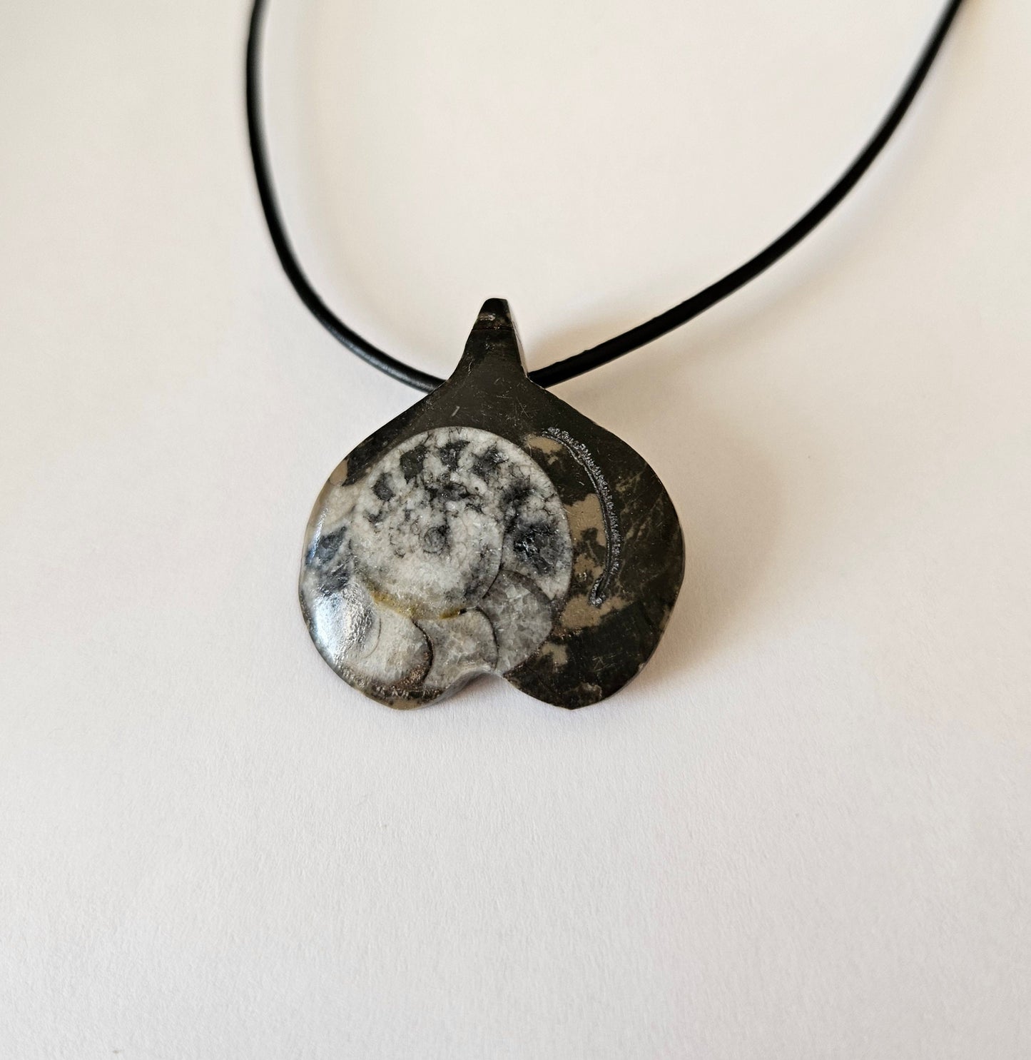 Ammonit Fossil versteinert, 37 x 30 x 10 mm, gebohrt, an verstellbarem Lederband, 360 Millionen Jahre alt