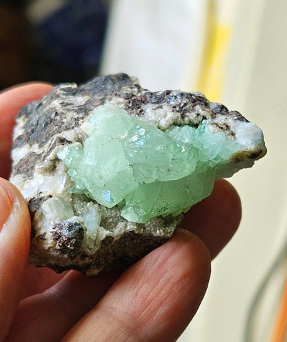 Hellgrüner Apophyllit Kristall Cluster auf Matrix Stufe 50 x 55 x 32 mm