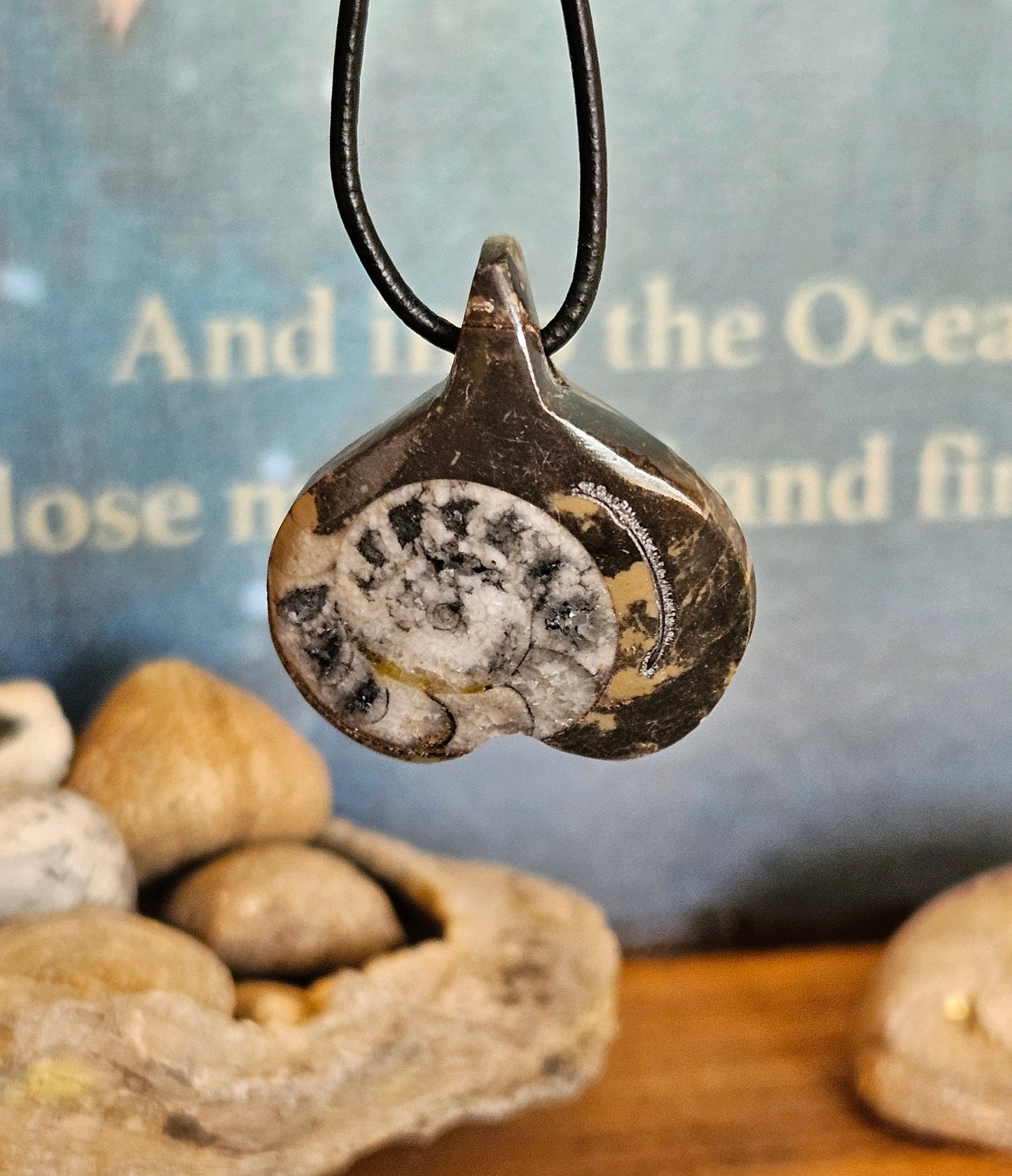 Ammonit Fossil versteinert, 37 x 30 x 10 mm, gebohrt, an verstellbarem Lederband, 360 Millionen Jahre alt