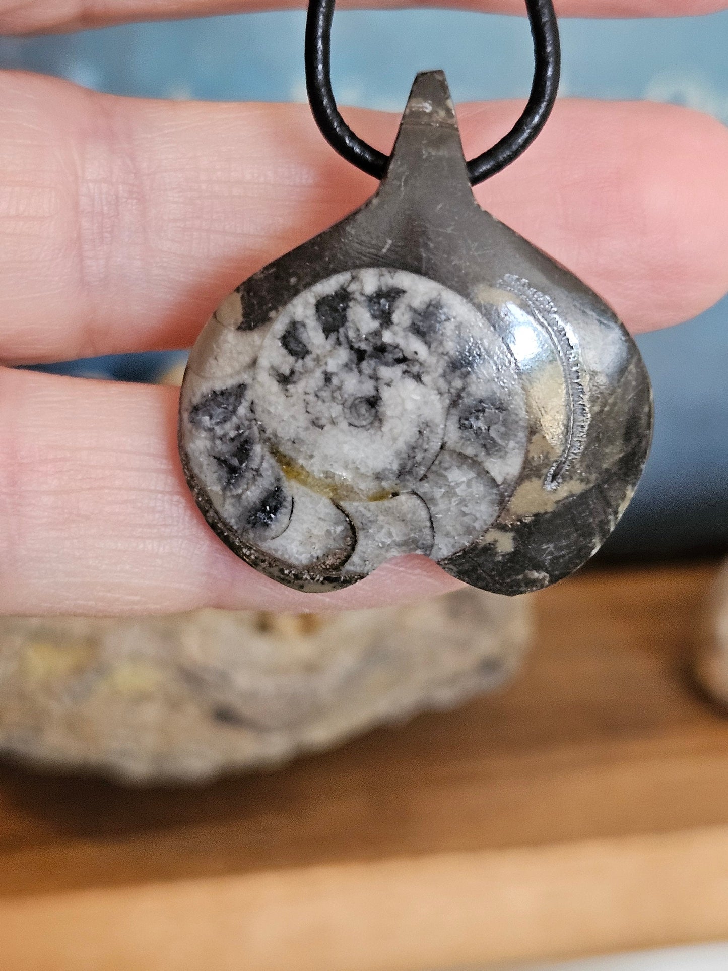 Ammonit Fossil versteinert, 37 x 30 x 10 mm, gebohrt, an verstellbarem Lederband, 360 Millionen Jahre alt