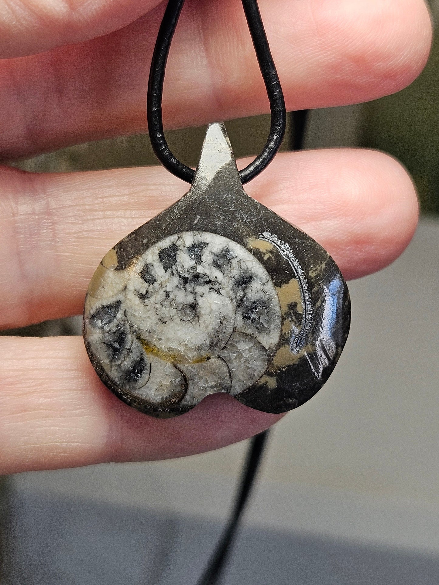Ammonit Fossil versteinert, 37 x 30 x 10 mm, gebohrt, an verstellbarem Lederband, 360 Millionen Jahre alt