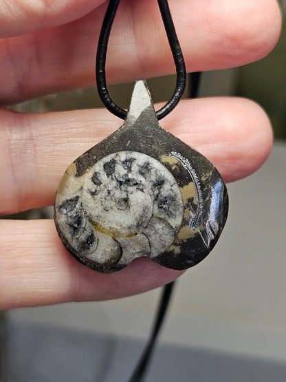 Ammonit Fossil versteinert, 37 x 30 x 10 mm, gebohrt, an verstellbarem Lederband, 360 Millionen Jahre alt