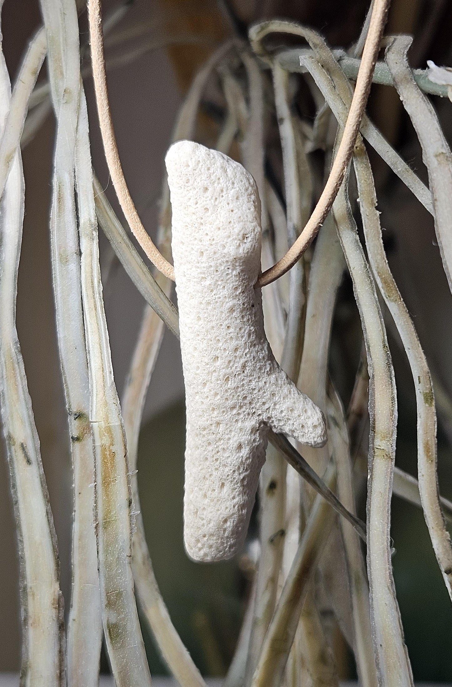 Versteinerte Koralle, Anhänger, 40 x 20 x 10 mm, gebohrt, an verstellbarem Lederband