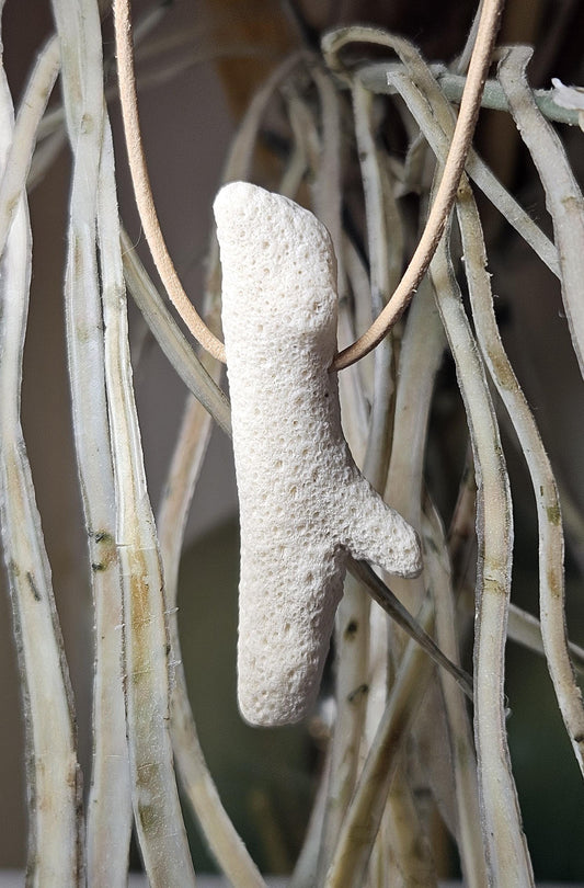 Versteinerte Koralle, Anhänger, 40 x 20 x 10 mm, gebohrt, an verstellbarem Lederband