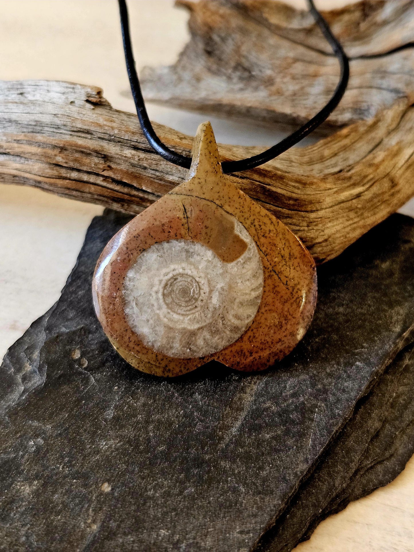 ein wunderschöner Ammonit Ammonit Muschel Schnecke in Form eines umgekehrten Herzens , 
gebohrt,  an einem schwarzen Lederband