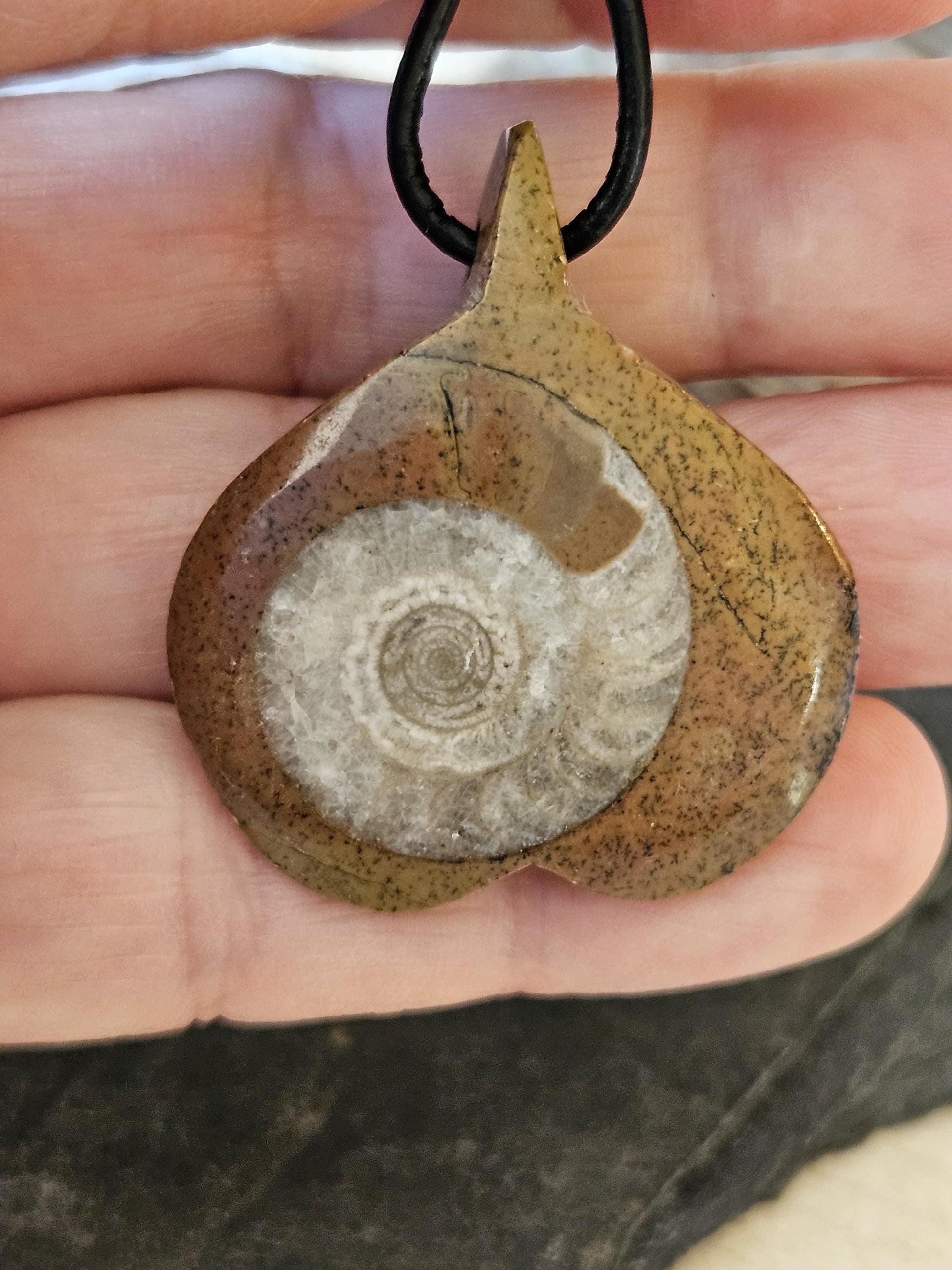 Ammonit Fossil versteinert, 37 x 30 x 10 mm, gebohrt, an verstellbarem Lederband, 360 Millionen Jahre alt
