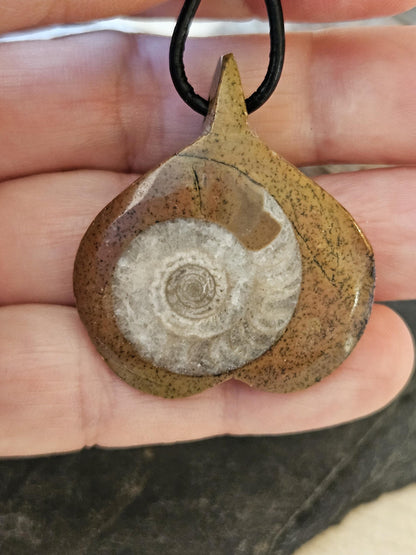 Ammonit Fossil versteinert, 37 x 30 x 10 mm, gebohrt, an verstellbarem Lederband, 360 Millionen Jahre alt