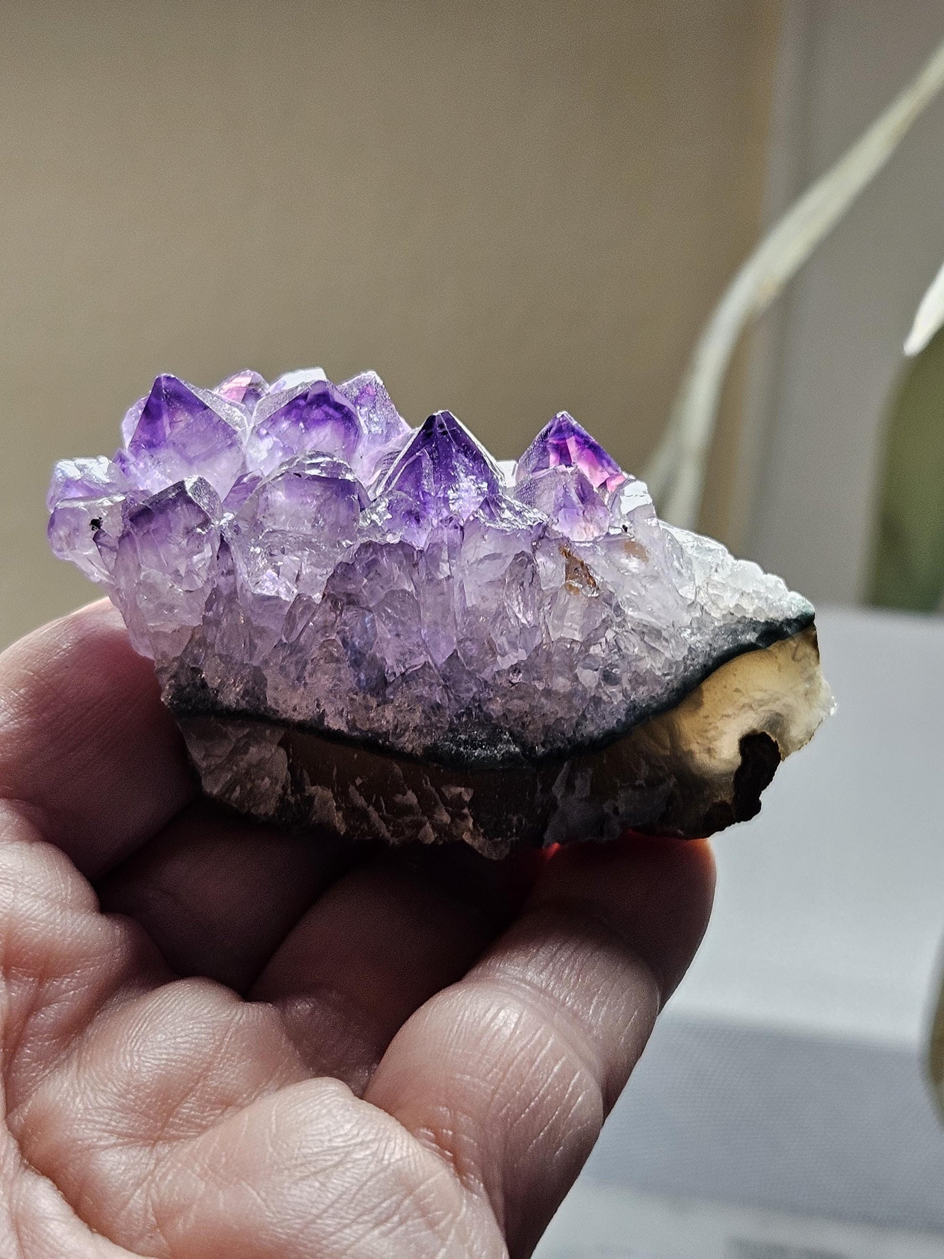 Wunderschöne kleine Amethyst Kristall Stufe aus Uruguay, Heilkristall Heilstein Energiestein