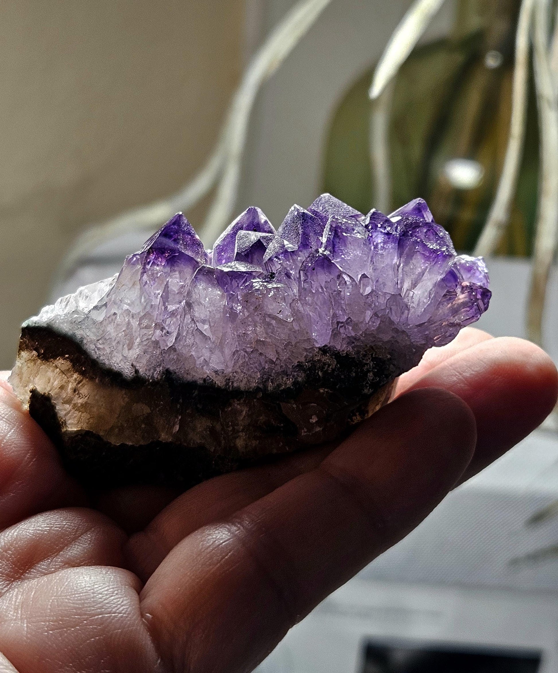 Wunderschöne kleine Amethyst Kristall Stufe aus Uruguay, Heilkristall Heilstein Energiestein