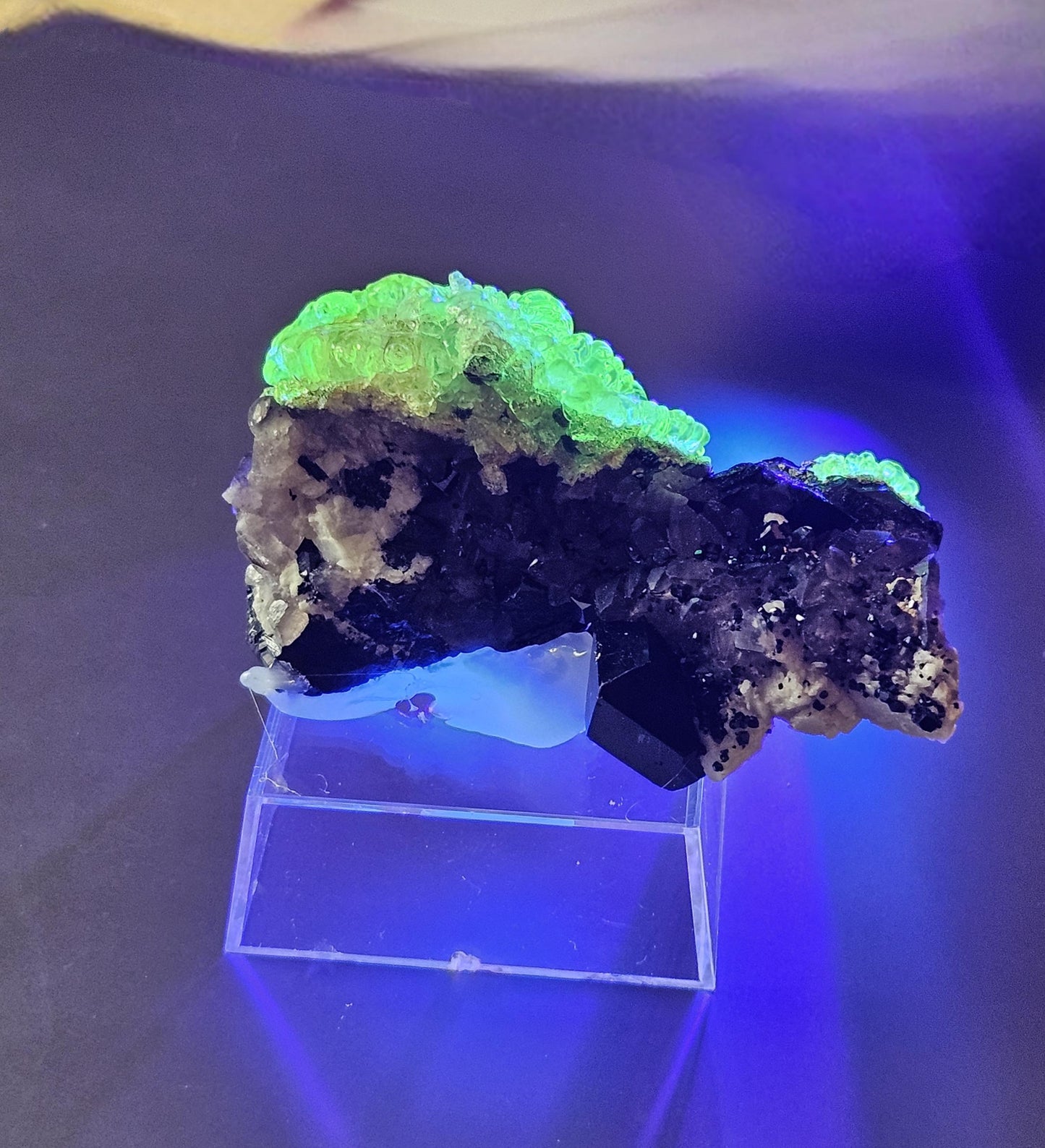 Traumhafte Stufe! Hyalit fluoreszierender Glasopal Opal auf Rauchquarz und Schörl, schwarzem Turmalin, Namibia