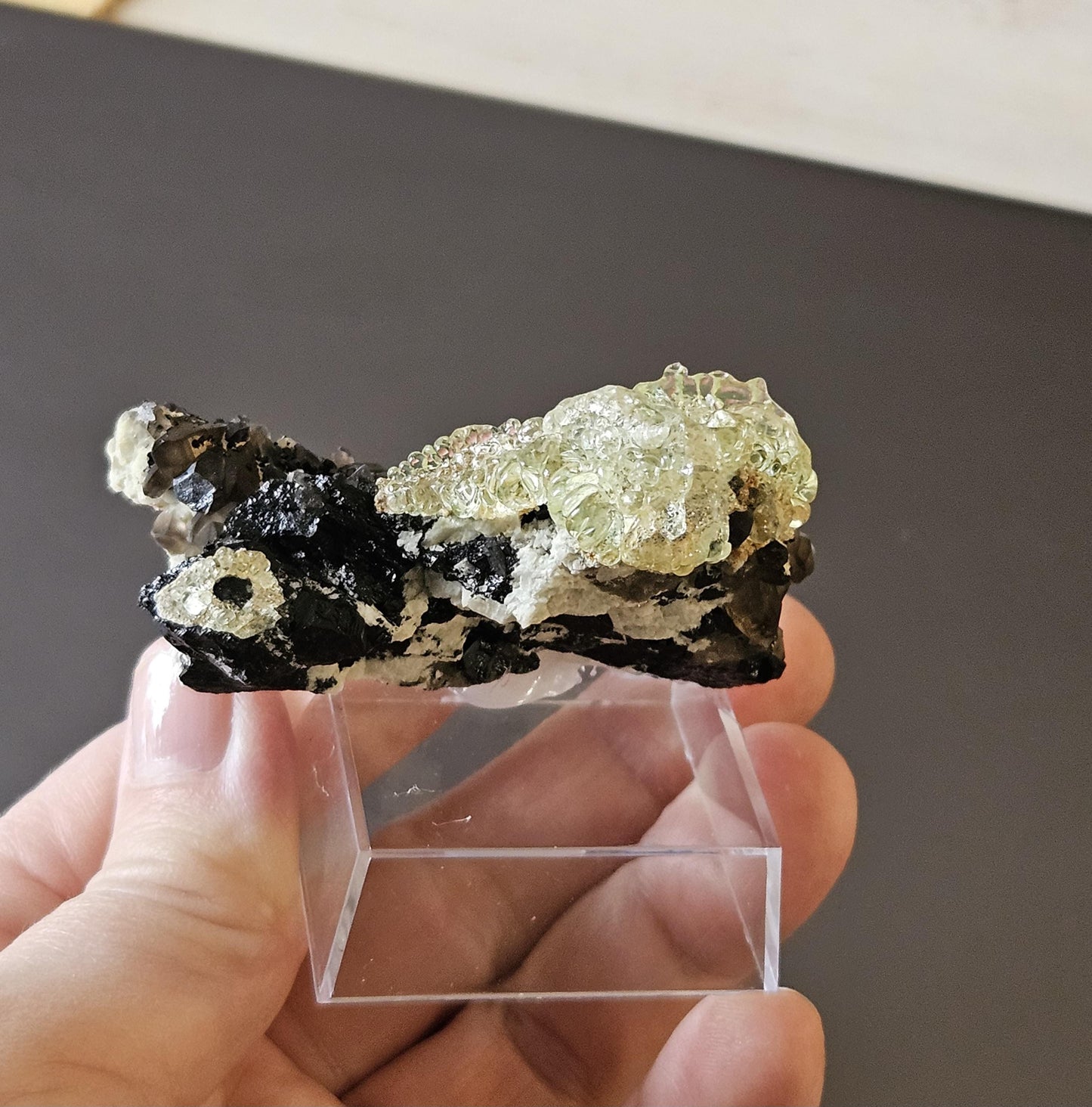 Traumhafte Stufe! Hyalit fluoreszierender Glasopal Opal auf Rauchquarz und Schörl, schwarzem Turmalin, Namibia