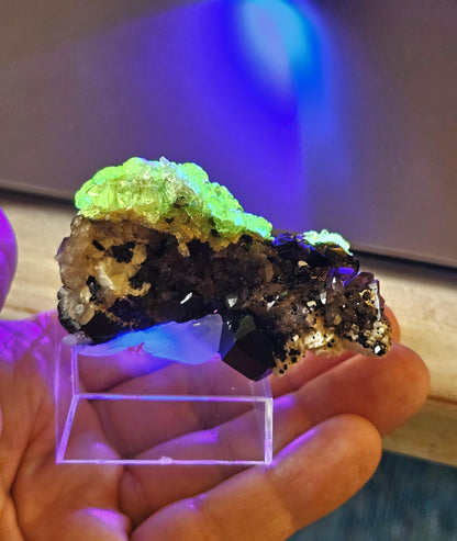 Traumhafte Stufe! Hyalit fluoreszierender Glasopal Opal auf Rauchquarz und Schörl, schwarzem Turmalin, Namibia
